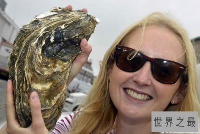 ​世界上最大的牡蛎，重达4.3斤(载入吉尼斯纪录)