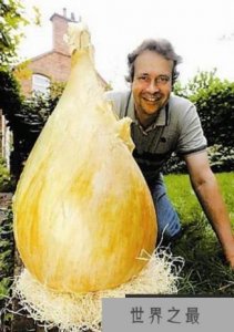 ​世界上最大的洋葱，8公斤重的巨型洋葱(打破世界纪录)