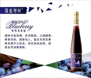 ​葡萄酒与蓝莓酒的区别(蓝莓红酒与葡萄酒的区别)